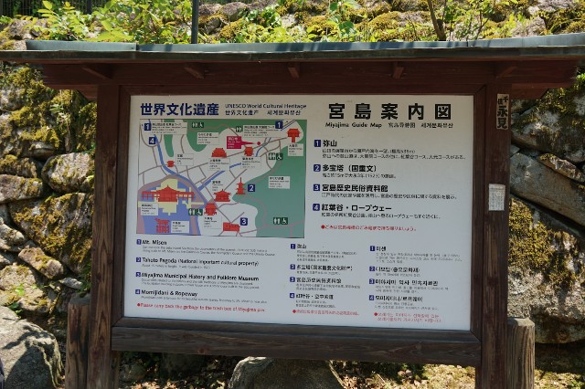 f:id:hitachibana:20240616132902j:image