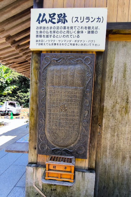 f:id:hitachibana:20240616174207j:image