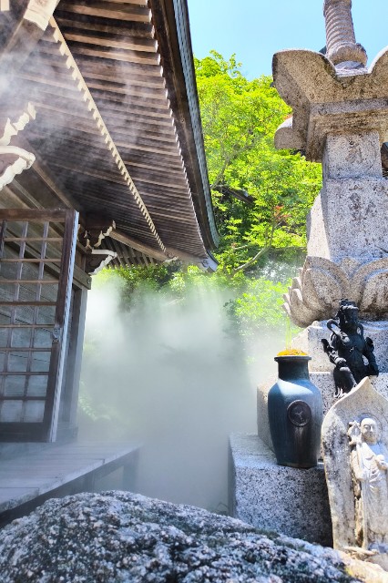 f:id:hitachibana:20240616174221j:image