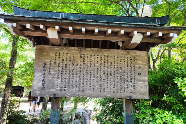 f:id:hitachibana:20240616174529j:image