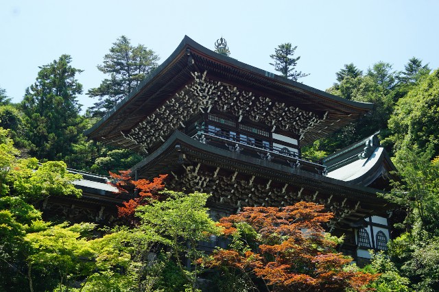 f:id:hitachibana:20240616174557j:image
