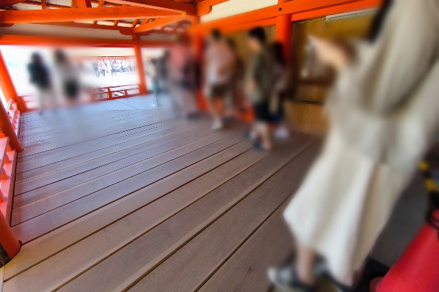 f:id:hitachibana:20240617005825j:image