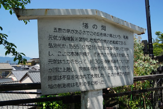 f:id:hitachibana:20240617010005j:image