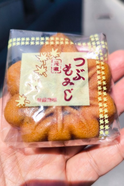 f:id:hitachibana:20240617010423j:image