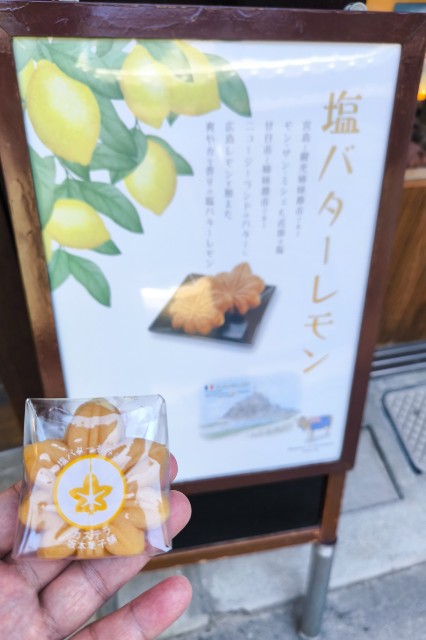 f:id:hitachibana:20240617010457j:image