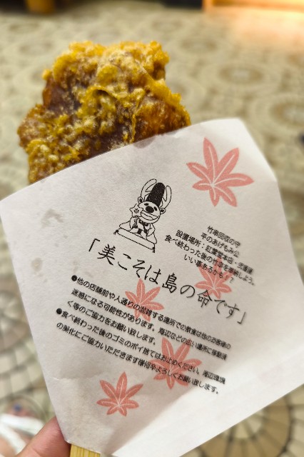 f:id:hitachibana:20240617010626j:image