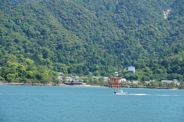 f:id:hitachibana:20240617010929j:image