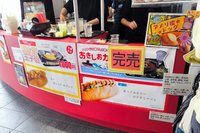 f:id:hitachibana:20240712083410j:image