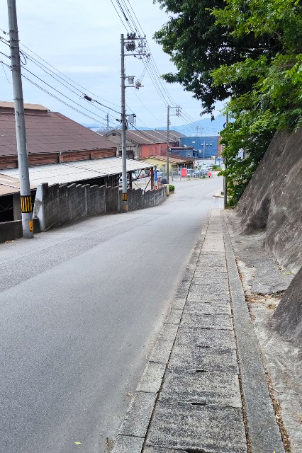 f:id:hitachibana:20240716123831j:image