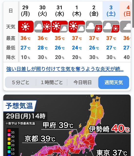f:id:hitachibana:20240728231823j:image