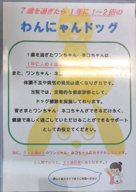 f:id:hitachibana:20240816202412j:image