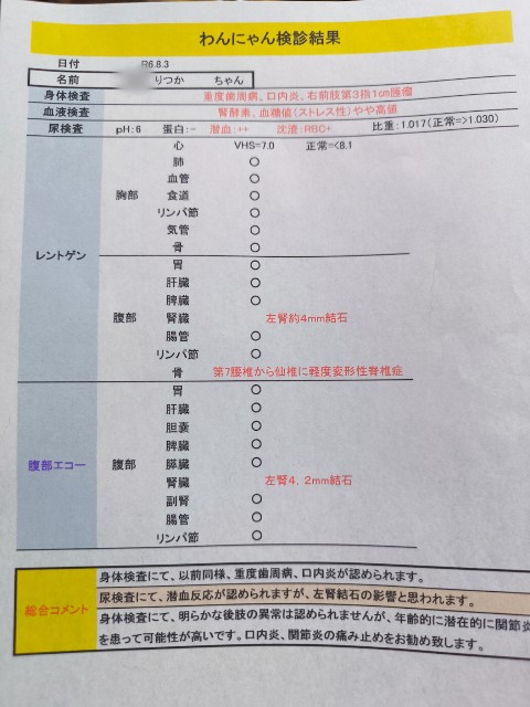 f:id:hitachibana:20240817000811j:image