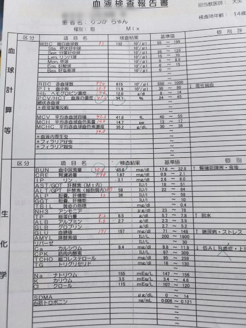 f:id:hitachibana:20240817000822j:image