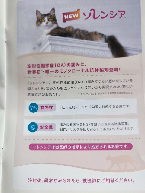 f:id:hitachibana:20240817000939j:image