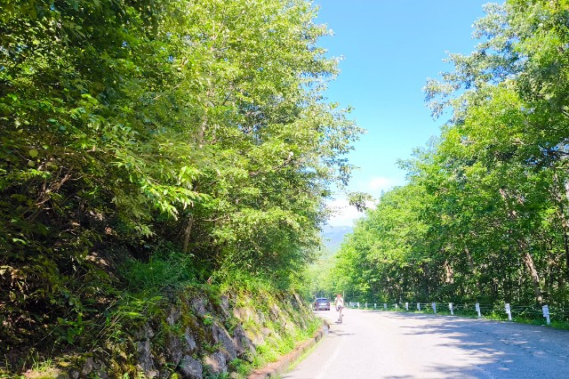 f:id:hitachibana:20240824213820j:image