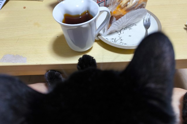 f:id:hitachibana:20240908010132j:image f:id:hitachibana:20240908010132j:image