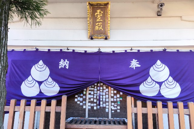 f:id:hitachibana:20241018132646j:image