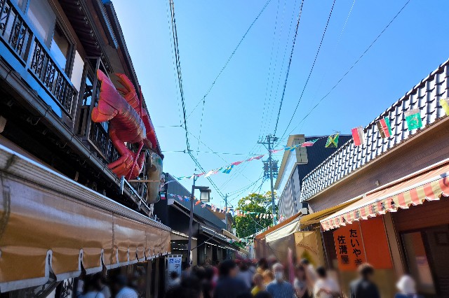f:id:hitachibana:20241018160334j:image