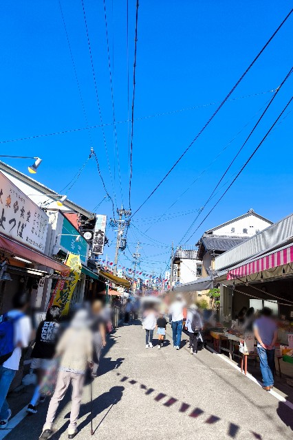 f:id:hitachibana:20241018160417j:image