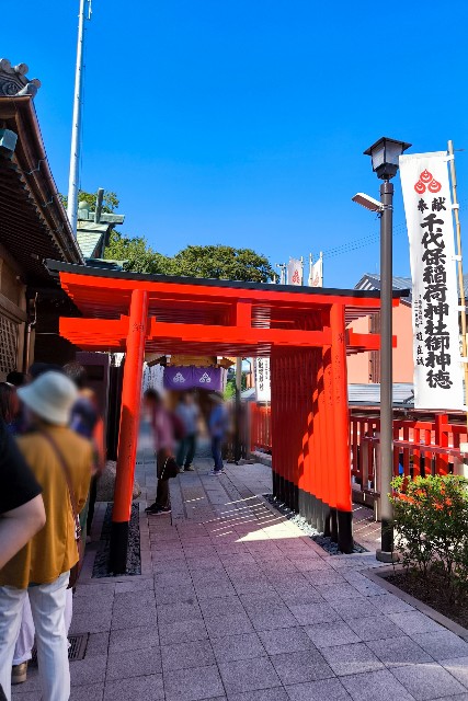 f:id:hitachibana:20241018160441j:image