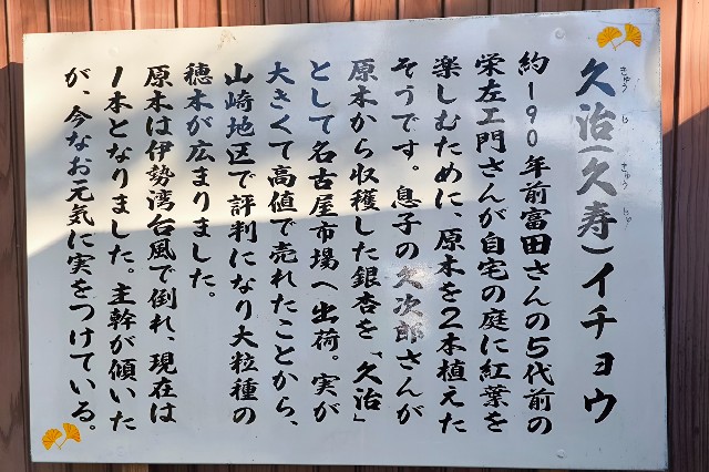 f:id:hitachibana:20241205173015j:image