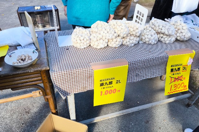 f:id:hitachibana:20241205173531j:image