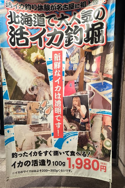 f:id:hitachibana:20241230144833j:image