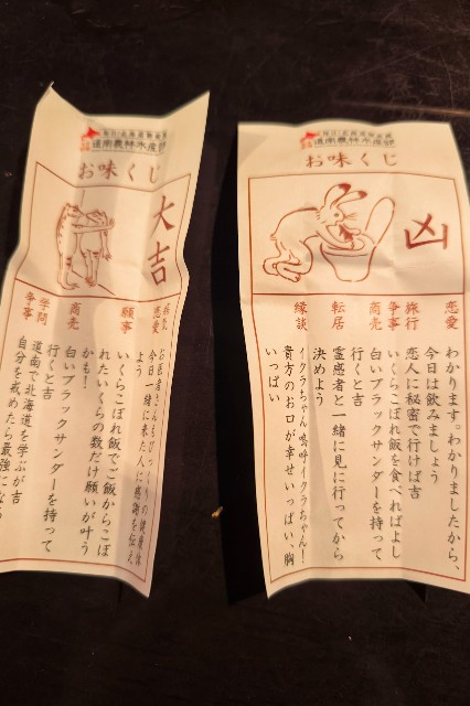 f:id:hitachibana:20241230144922j:image