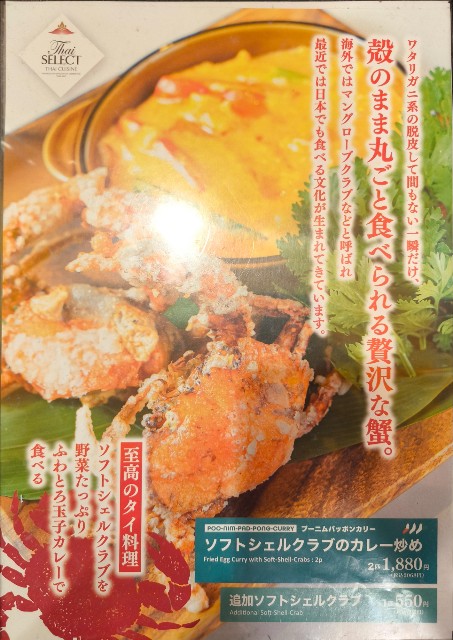 f:id:hitachibana:20241230145739j:image