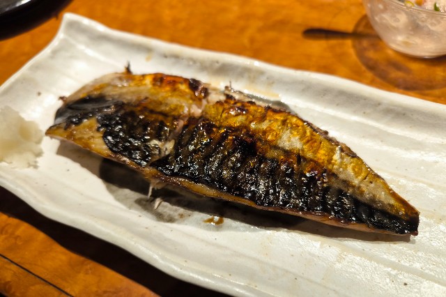 f:id:hitachibana:20241230150518j:image