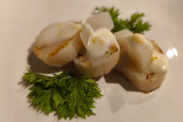 f:id:hitachibana:20241230151505j:image