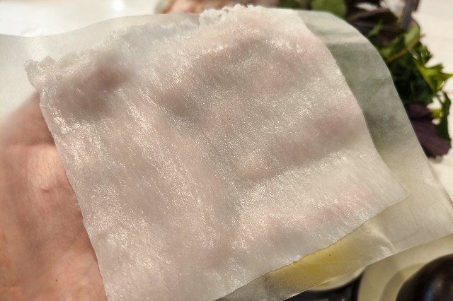f:id:hitachibana:20250315104234j:image