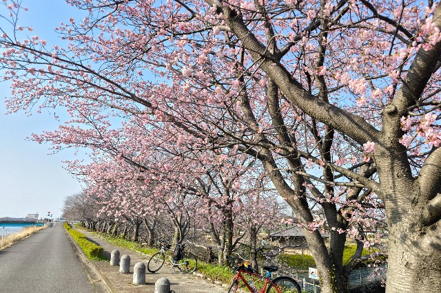 f:id:hitachibana:20250323235133j:image