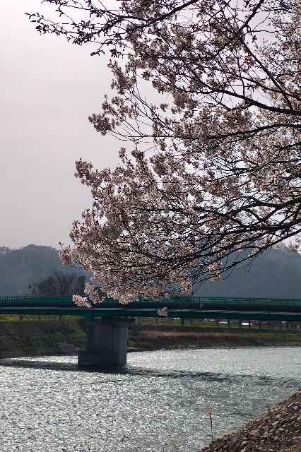 f:id:hitachibana:20250425070408j:image