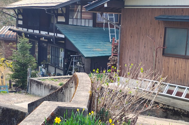 f:id:hitachibana:20250425070612j:image