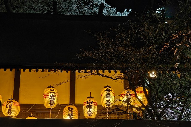 f:id:hitachibana:20250425071508j:image