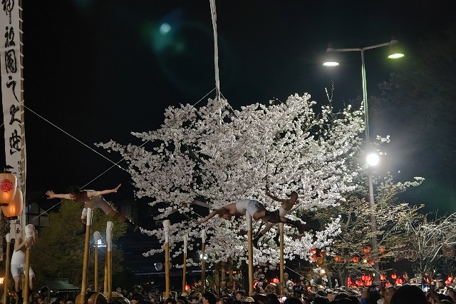 f:id:hitachibana:20250425071607j:image