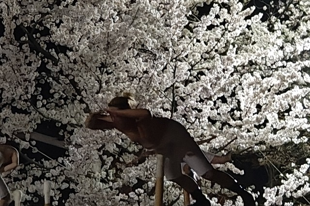 f:id:hitachibana:20250425071644j:image