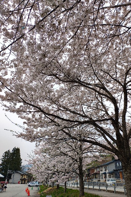 f:id:hitachibana:20250502085818j:image