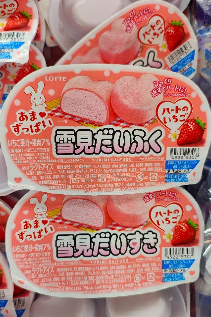 f:id:hitachibana:20250503221847j:image