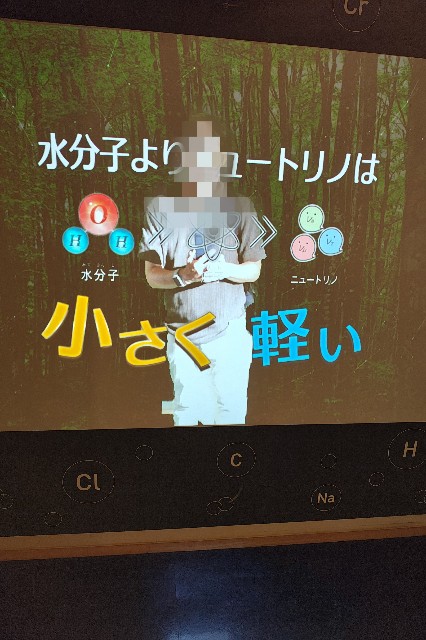 f:id:hitachibana:20250505233241j:image