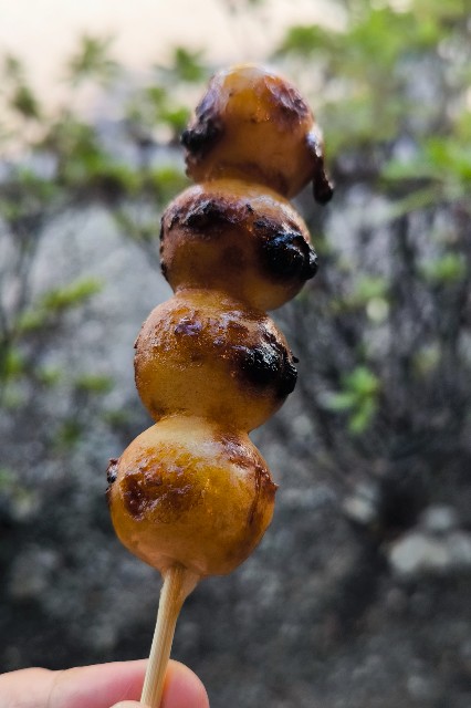 f:id:hitachibana:20250508213307j:image