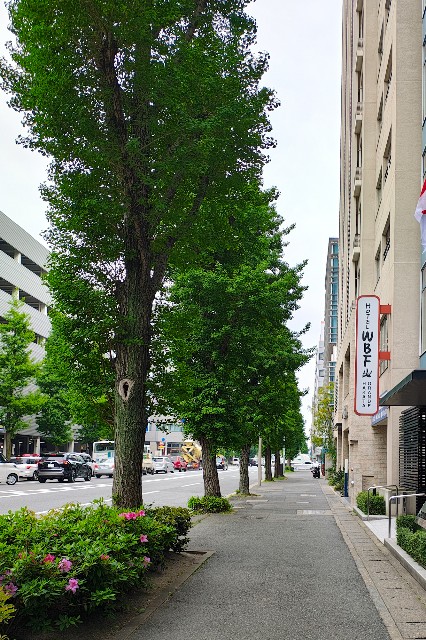 f:id:hitachibana:20250515211947j:image