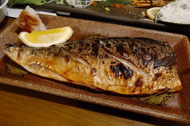 f:id:hitachibana:20250516110006j:image