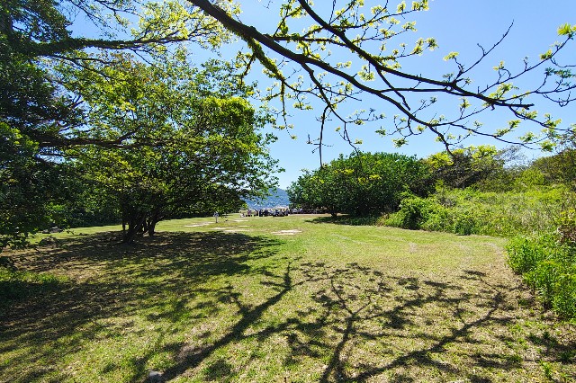 f:id:hitachibana:20250518190958j:image