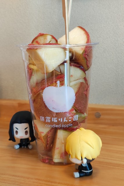 f:id:hitachibana:20250523081049j:image