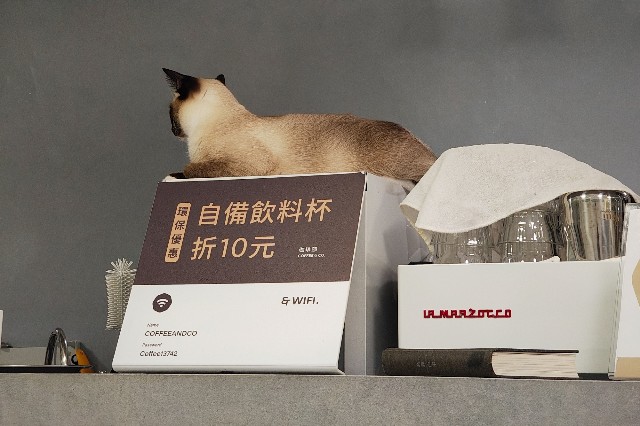 f:id:hitachibana:20250607214821j:image