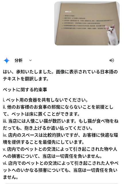 f:id:hitachibana:20250610084058j:image