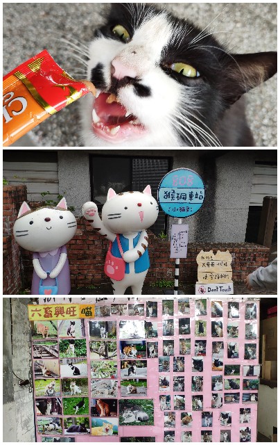 f:id:hitachibana:20250627010425j:image