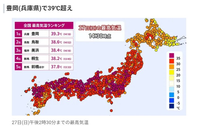 f:id:hitachibana:20250730213354j:image